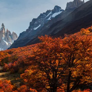 Sunrise at Cerro Torre. Patagonia, Argentina