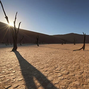 Sunrise with sun flare over the dead Acacia trees of Deadvlei, Namib-Naukluft National Park, Namibia, Africa