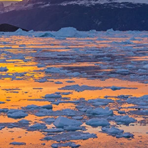Sunset above icebergs and brash ice, Gasefjord, Scoresby Sund, Greenland, Denmark