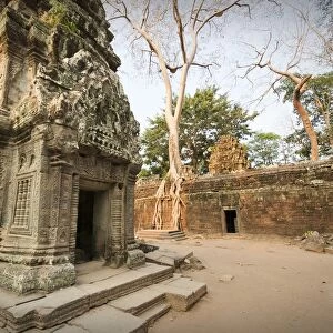 Ta Prohm temple, Khmer Empire, Cambodia