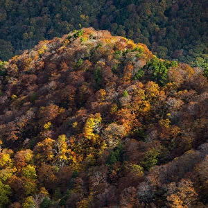 Tanigawadake in autumn season