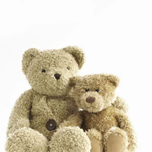 Two teddy bears