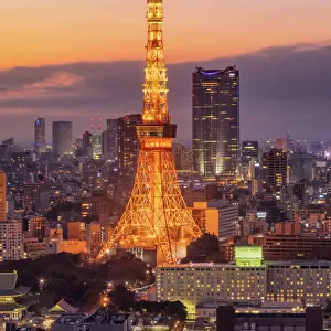 Towers Photo Mug Collection: Tokyo Tower