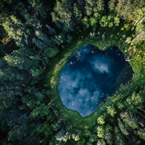 Top-down aerial view of a small pond in the middle of a forest