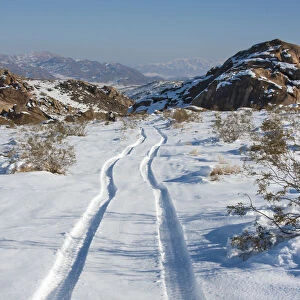 Tracks in snow, High Desert, California, USA