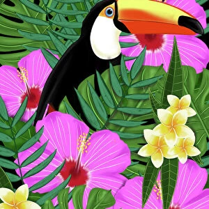 tropical Toucan