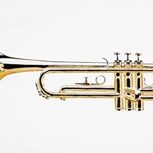 Trumpet, side view