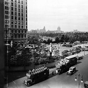 View Of Central Park