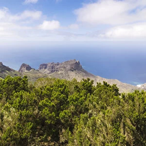 View from the lookout Mirador de Alojera in the Garajonay National Park, La Gomera, Canary Islands, Spain