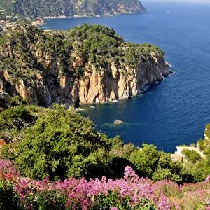 Wild coastal scenery with views of the Cap de Begur, near Begur, Costa Brava, Spain, Iberian Peninsula, Europe
