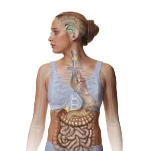 Woman standing, body facing forward head turned to one side, illustration overlay showing skeleton and inner organs