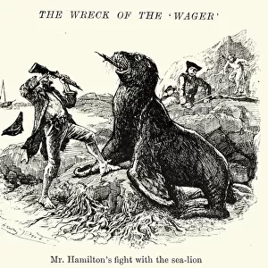 Wreak of HMS Wager Hamiltons fight with sealion