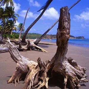 Beach on Grenada in the West Indies