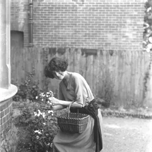 Duchess of Leinster by the Sea The Duchess of Leinster gatheringgarden flowers at