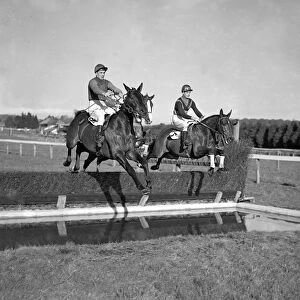 Fontwell Park Racecourse, Sussex, England. Mr P Herbert riding Courtesy