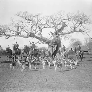 Grafton hunt meet at Cowpers Oak, Olney. 16 February 1926