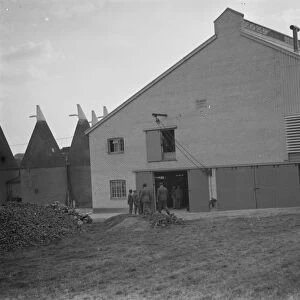 Hop Kilns in Goudhurst. 1937