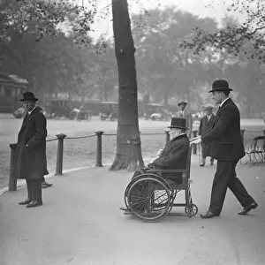 Lord Merseys wheel chair visits to the park. Lord Mersey ( 83 ), whose last
