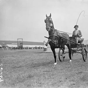 Miss Black driving Mr Bertram Mills, which took first prize at a horse show an gymkhana
