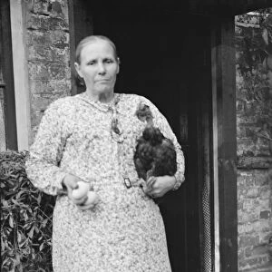 Mrs Cuckoo and her churkeys, Southfleet. 1937 Transylvanian Naked Neck Chickens
