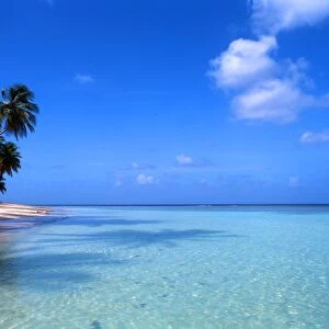 Tropical Islands. West Indies. Tobago. West Coast Beach