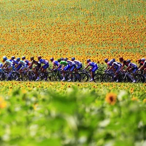 Cycling-Fra-Tdf-2010-Pack-Postcard