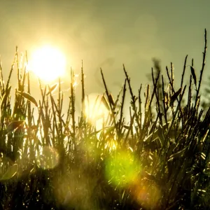 France-Meteo-Heat-Sun-Nature