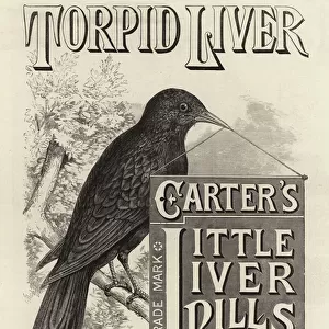 Advertisement, Carters Little Liver Pills (engraving)