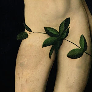 Adam, 1528 (oil on panel) (detail of 9628)