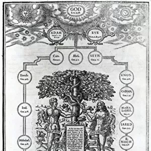 Adam and Eves Family Tree, 1556 (engraving)
