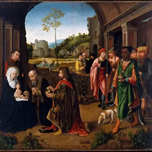 The Adoration of the Magi, c. 1520 (oil on wood)