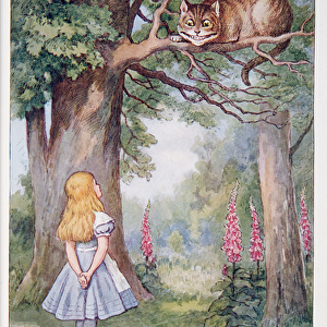 Alice and the Cheshire Cat, Alices Adventures In Wonderland And Through The