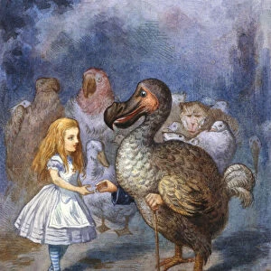 Alice And The Dodo