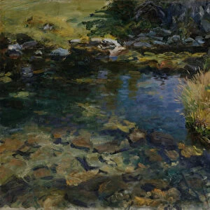 Alpine Pool, 1907 (oil on canvas)