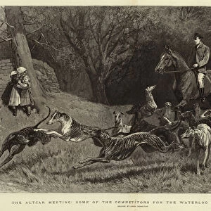 The Altcar Meeting, some of the Competitors for the Waterloo Cup at Exercise (engraving)