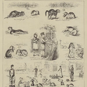 Amateur Rabbit Farming (engraving)