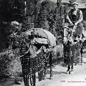 Andorra (Andorra) in the Pyrenees around 1910: the mail of the seo de Urgel a Andorra la vieilla
