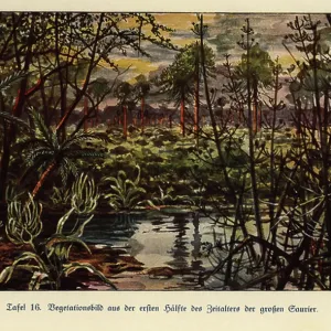 Mesozoic Era Vegetation Print Mesozoic Era Vegetation Print