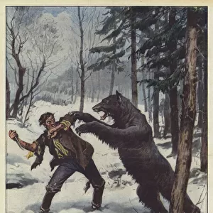Attacked in a forest in Poland by a giant bear, a poacher... (colour litho)