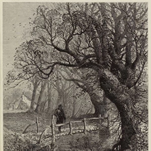 Autumn Leaves are falling (engraving)