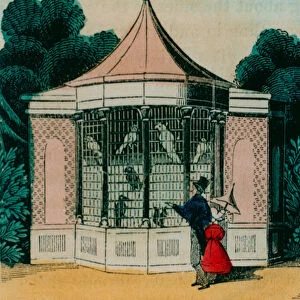 Aviary for parrots and cockatoos at the London zoo. 1840s (coloured engraving)