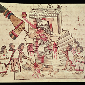 Schools Metal Print Collection: Aztec