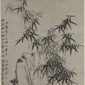 Bamboo and Rocks, c. 1760 (ink on paper)
