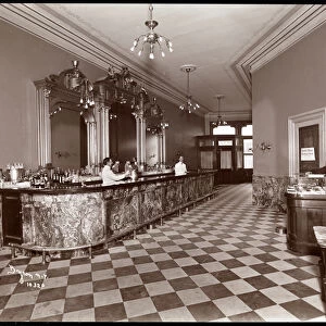Bar at Gilsey House, Broadway and 29th Street, New York