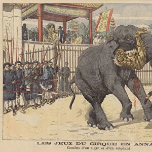 Battle between an elephant and a tiger in a circus in Annam, Indochina (colour litho)