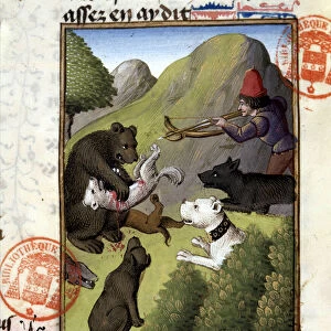 Bear Hunt - in "The Hunting Book of Gaston Phoebus, Count of Foix