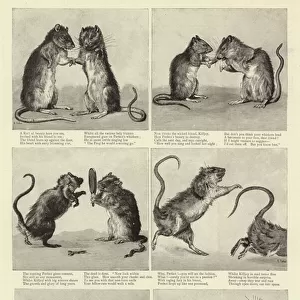 The Beautiful Rat and the False Friend (engraving)