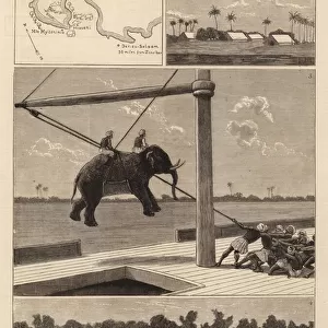 The Belgian African Expedition, disembarking Elephants at Msasani Bay (engraving)