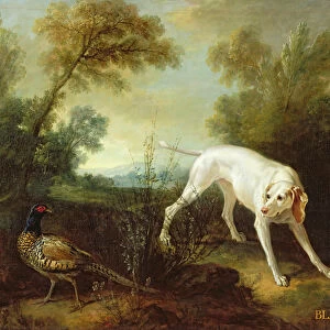 Blanche, Bitch of the Royal Hunting Pack (oil on canvas)