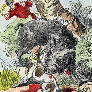 The boar. Engraving in "Buffon Alphabet des Animaux". 3rd Series N 1